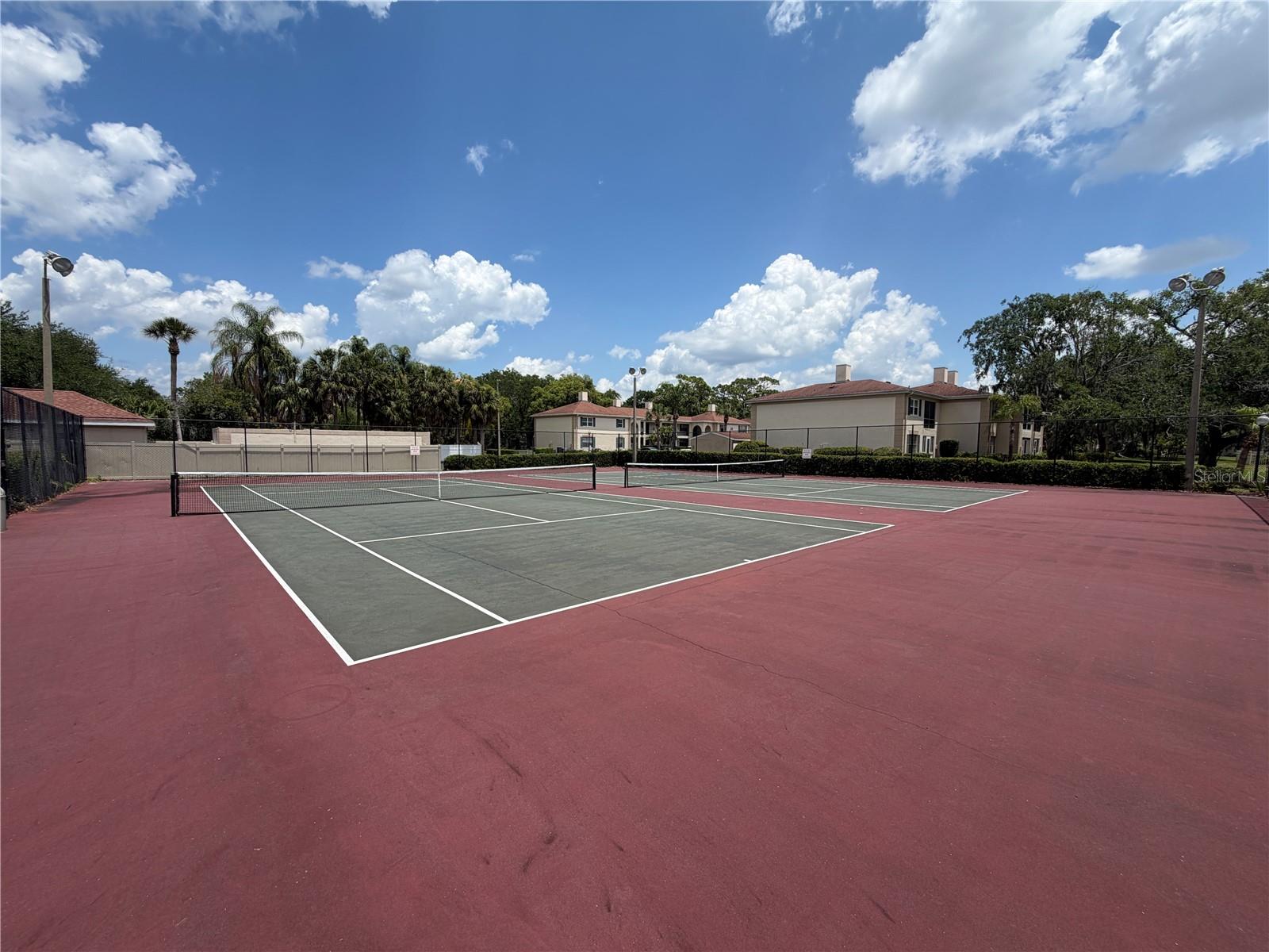 Image 20 of 27 For 10335 Carrollwood Lane 116