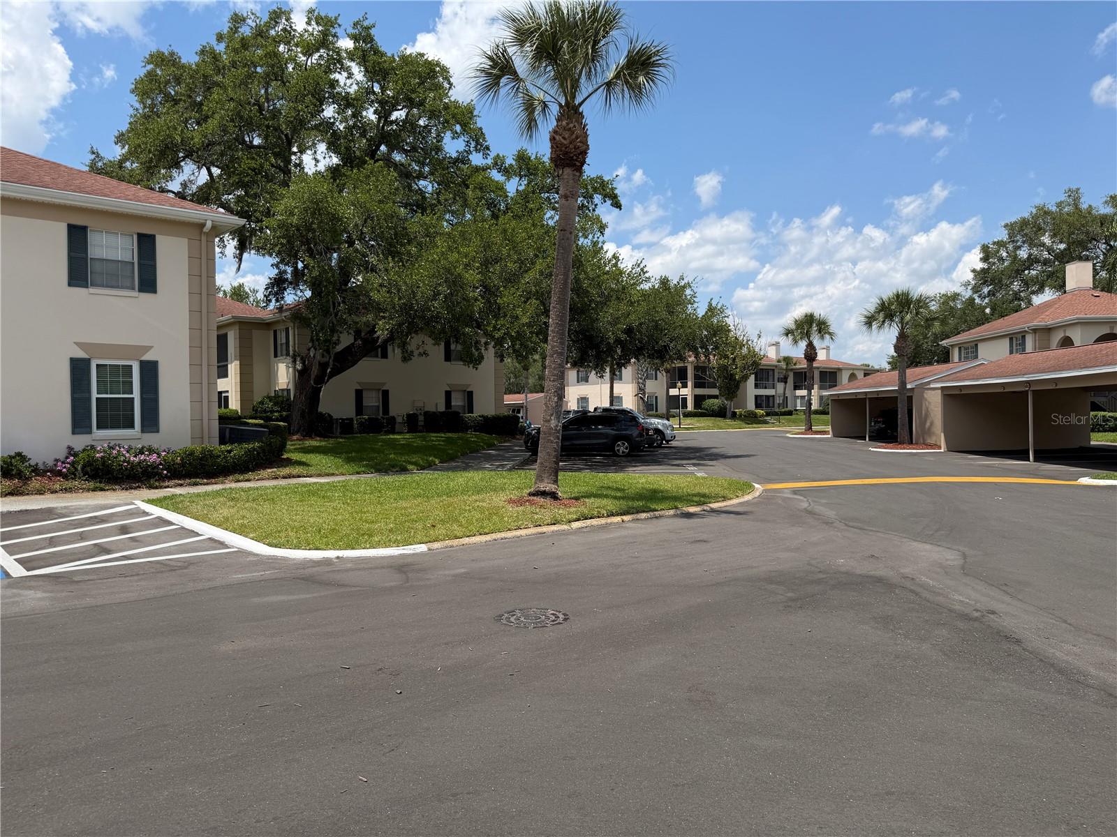 Image 27 of 27 For 10335 Carrollwood Lane 116
