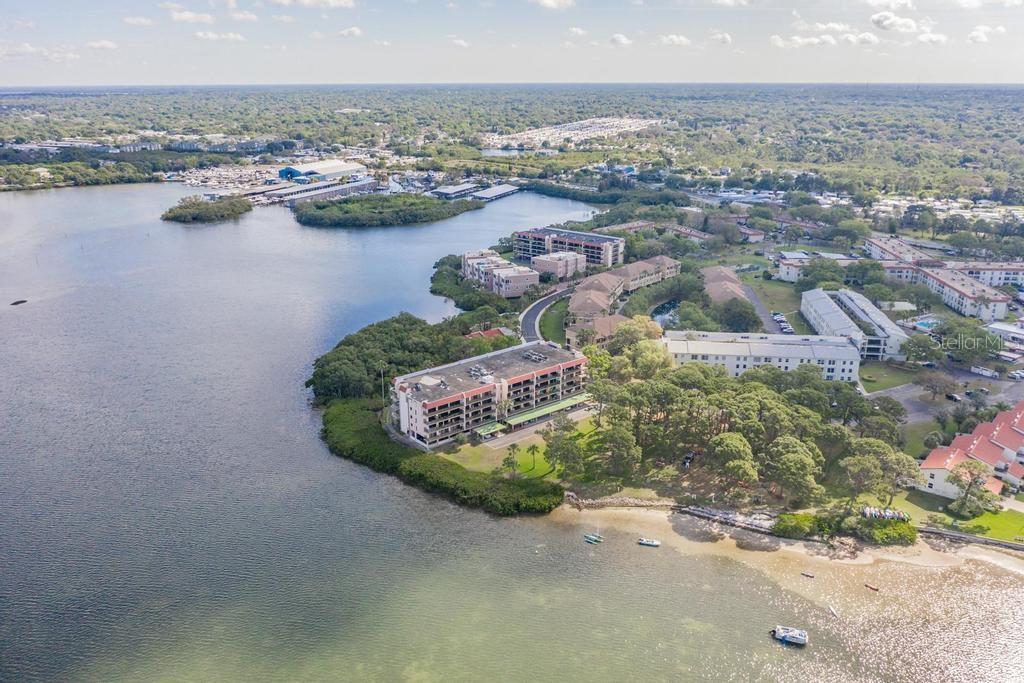 Image 21 of 30 For 2700 Bayshore Boulevard 3205