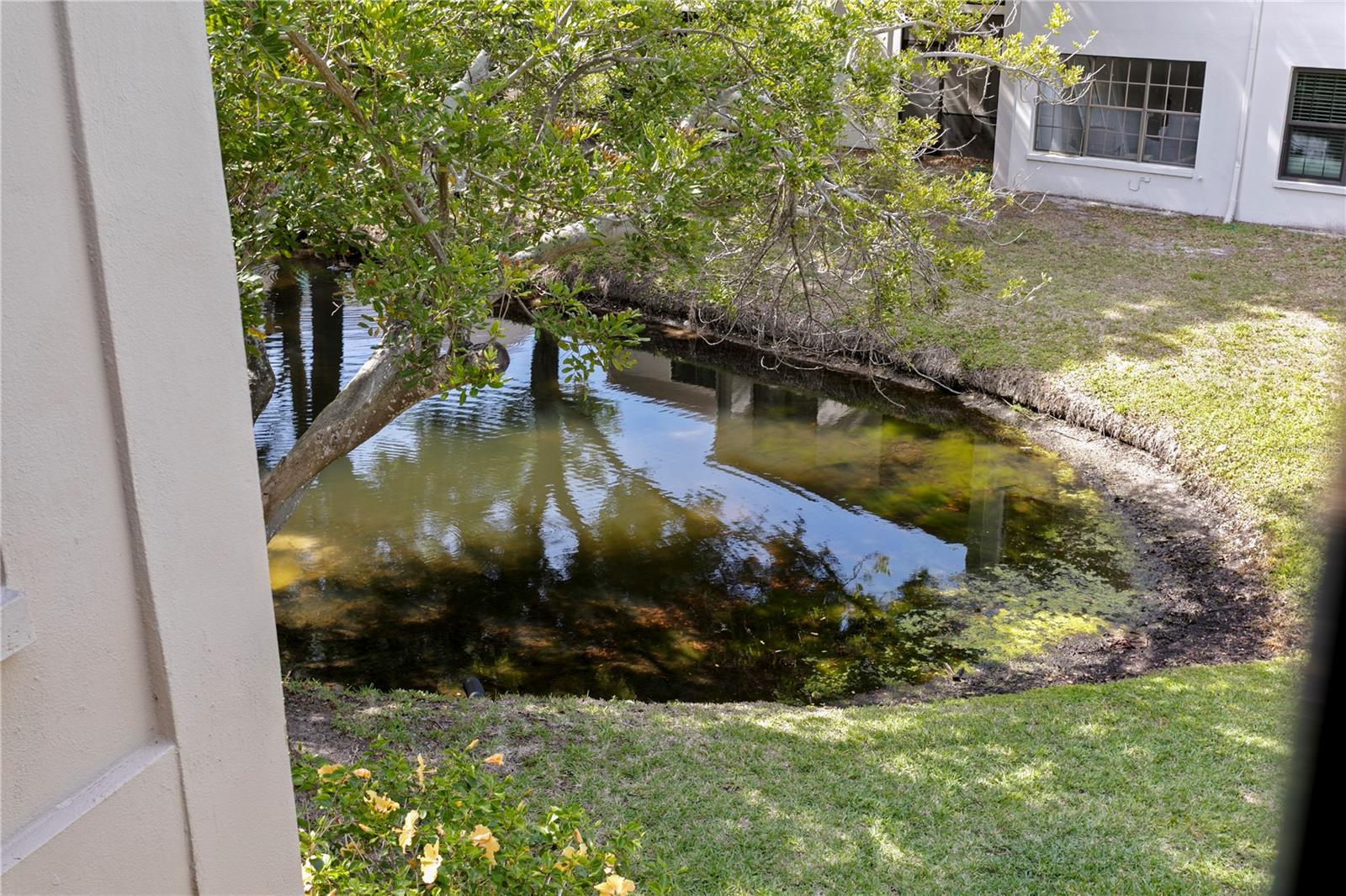 Image 32 of 33 For 2453 Kingfisher Lane G202