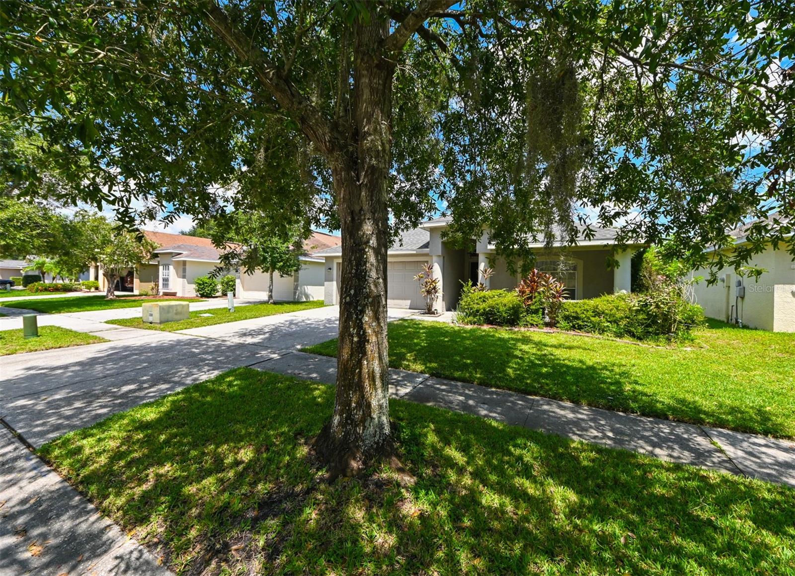 Image 41 of 54 For 4517 Wild Plum Lane