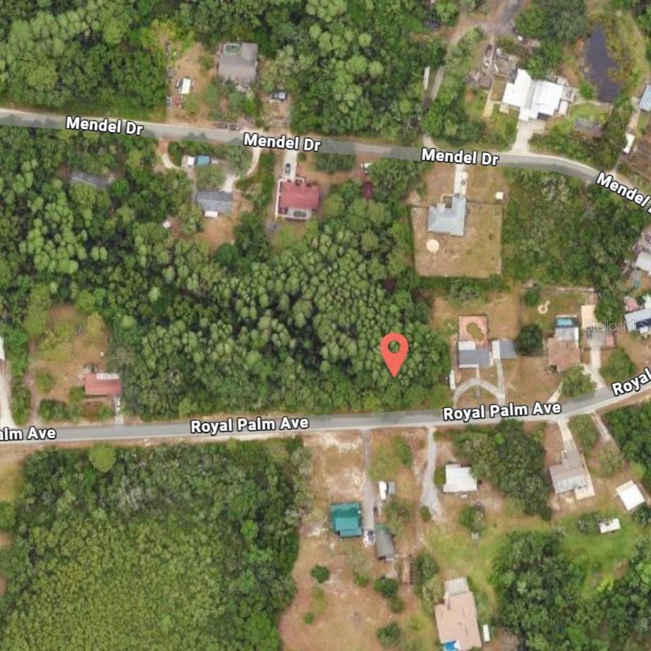 Details for 9805 Royal Palm Avenue, NEW PORT RICHEY, FL 34654