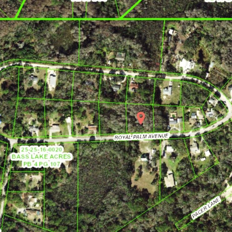 Image 2 of 2 For 9805 Royal Palm Avenue