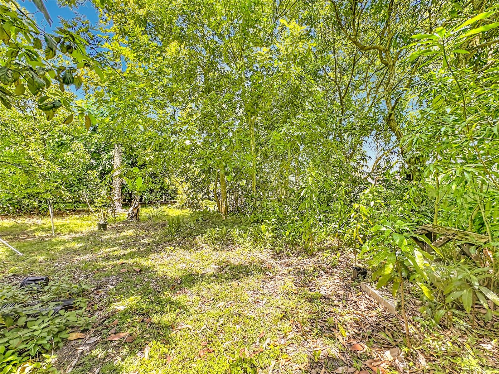 Image 48 of 58 For 12821 86th Road N
