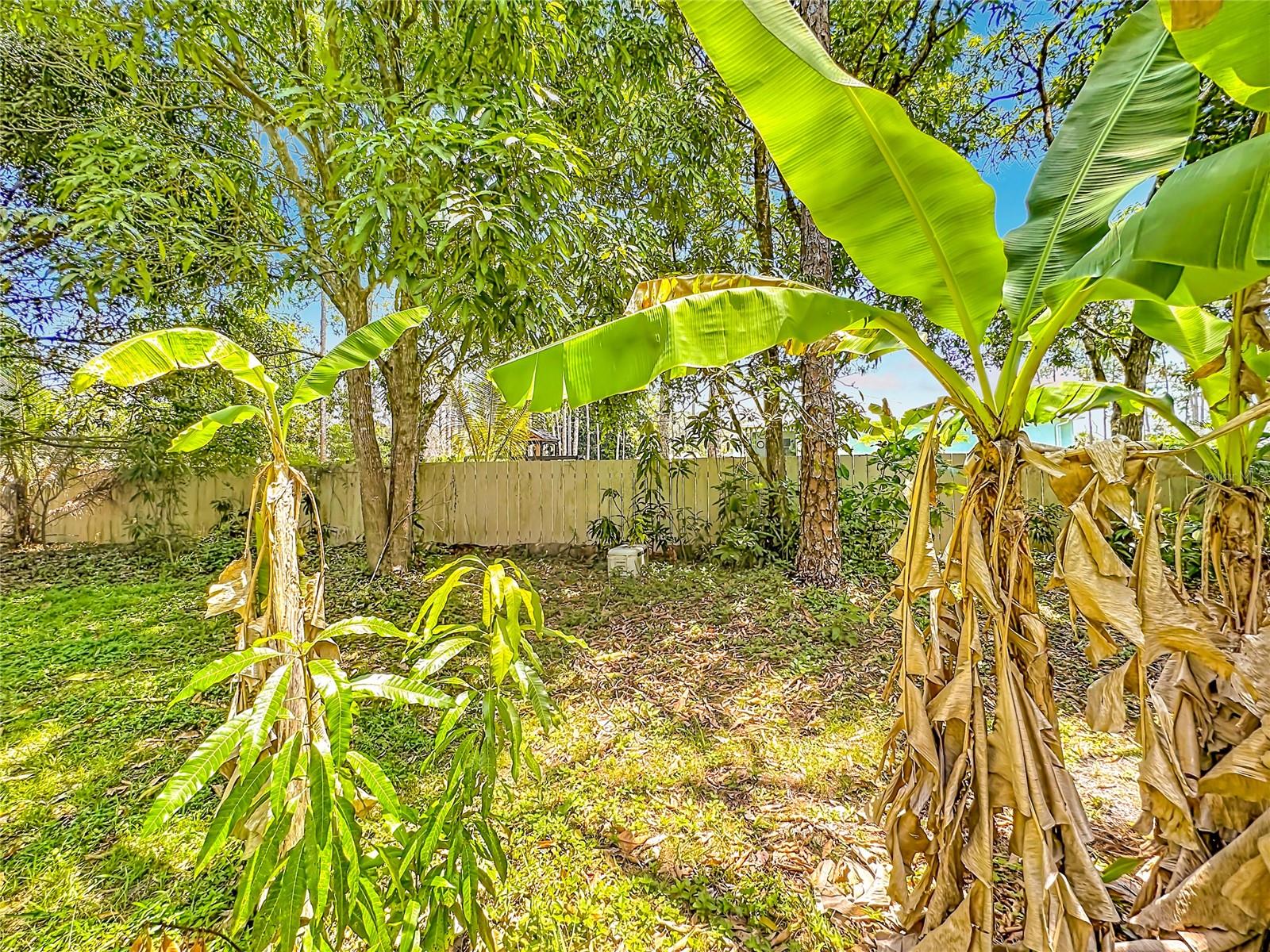 Image 49 of 58 For 12821 86th Road N