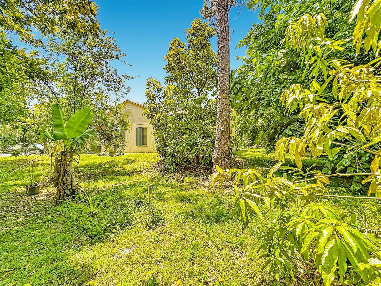 Image 50 of 58 For 12821 86th Road N