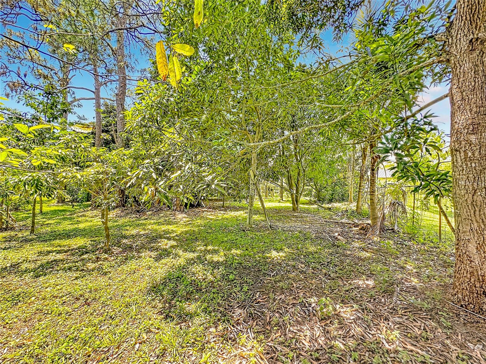 Image 51 of 58 For 12821 86th Road N