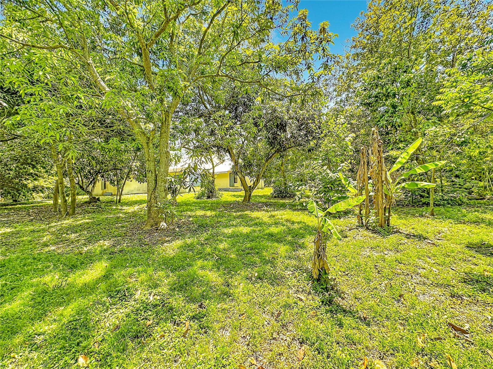 Image 54 of 58 For 12821 86th Road N
