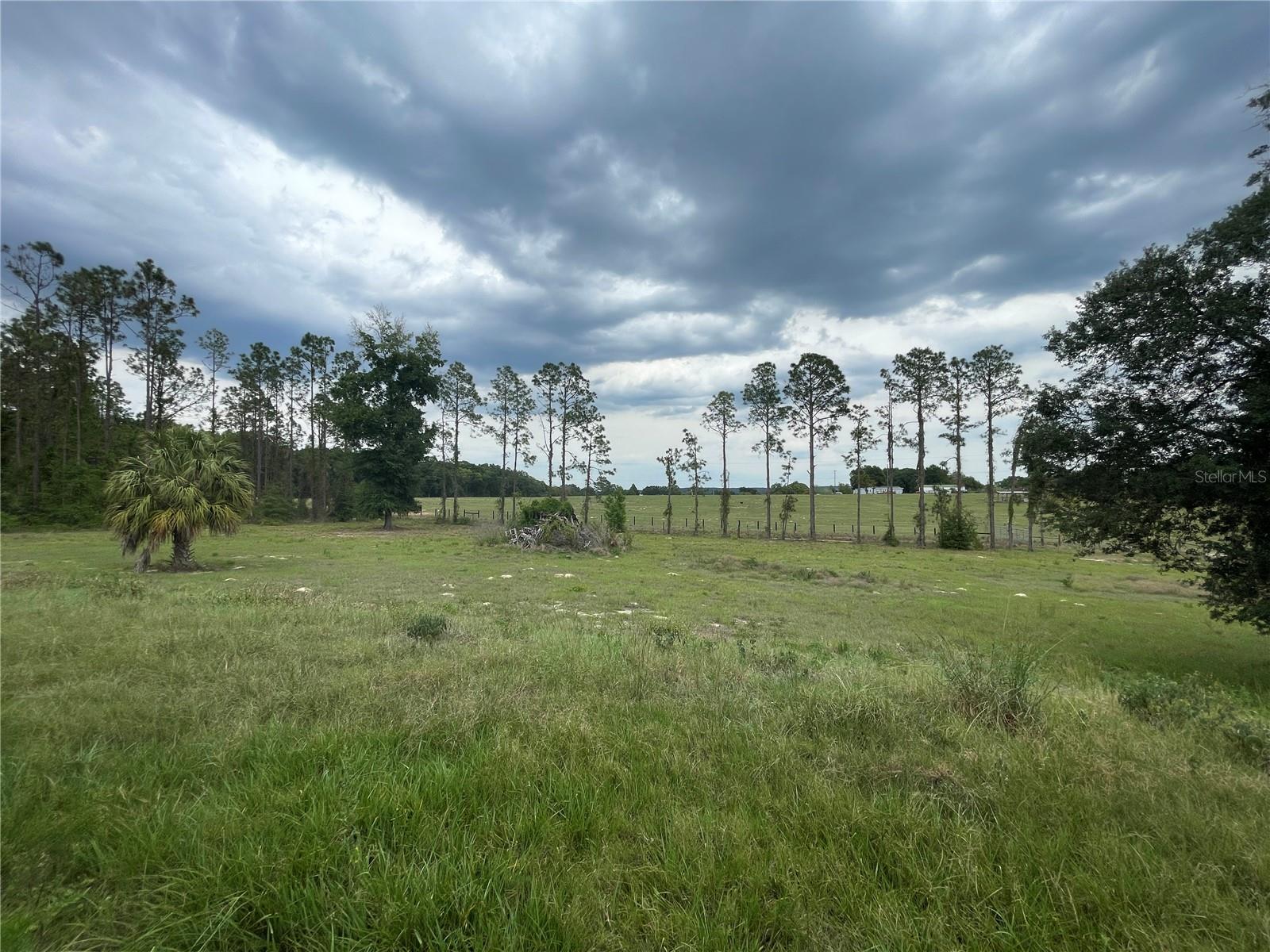 Image 33 of 36 For 33740 Larkin Rd