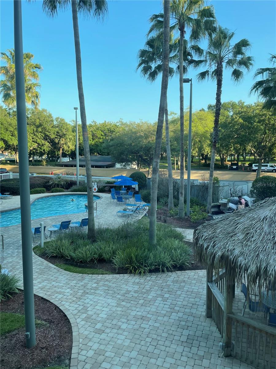 Image 35 of 35 For 8303 Palm Parkway 207