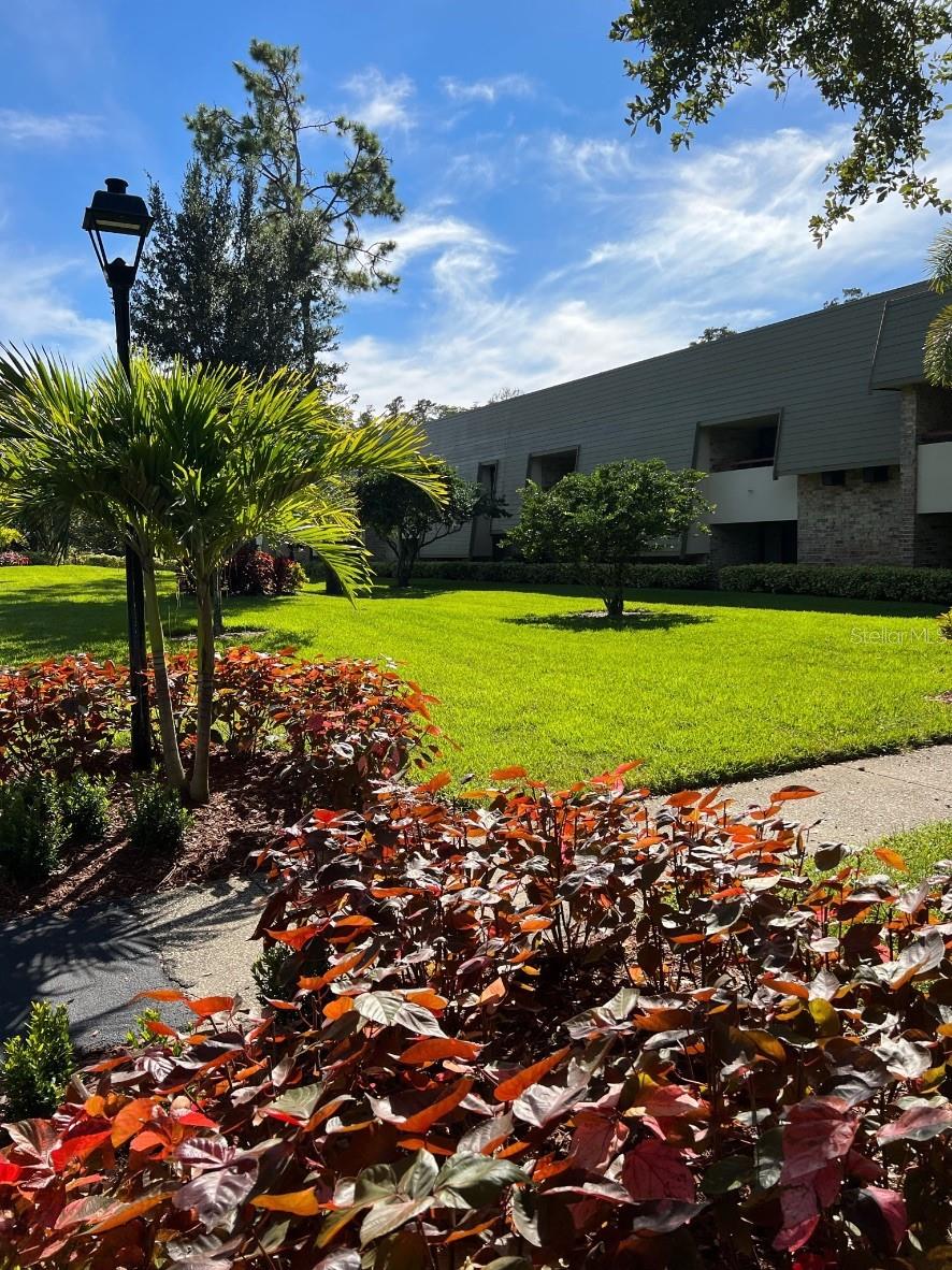 Details for 36750 Us Highway 19 N 6-109, PALM HARBOR, FL 34683