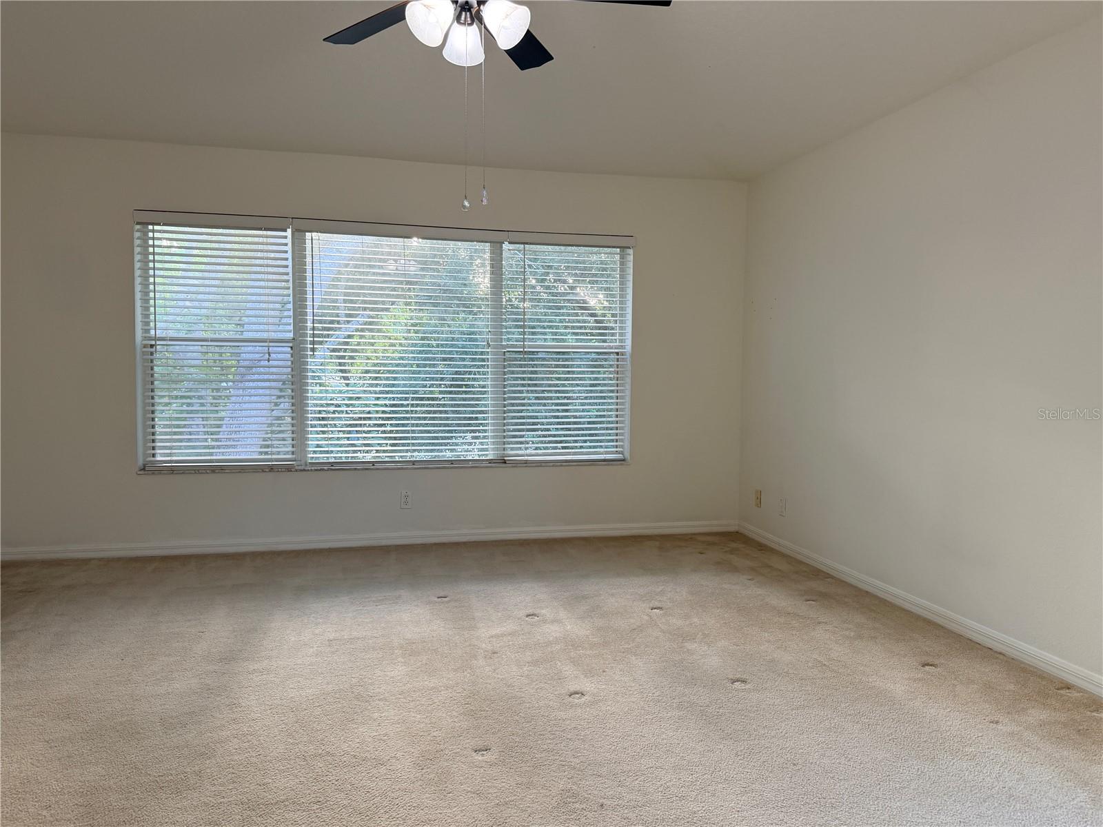 Image 40 of 47 For 4212 Bismarck Palm Drive