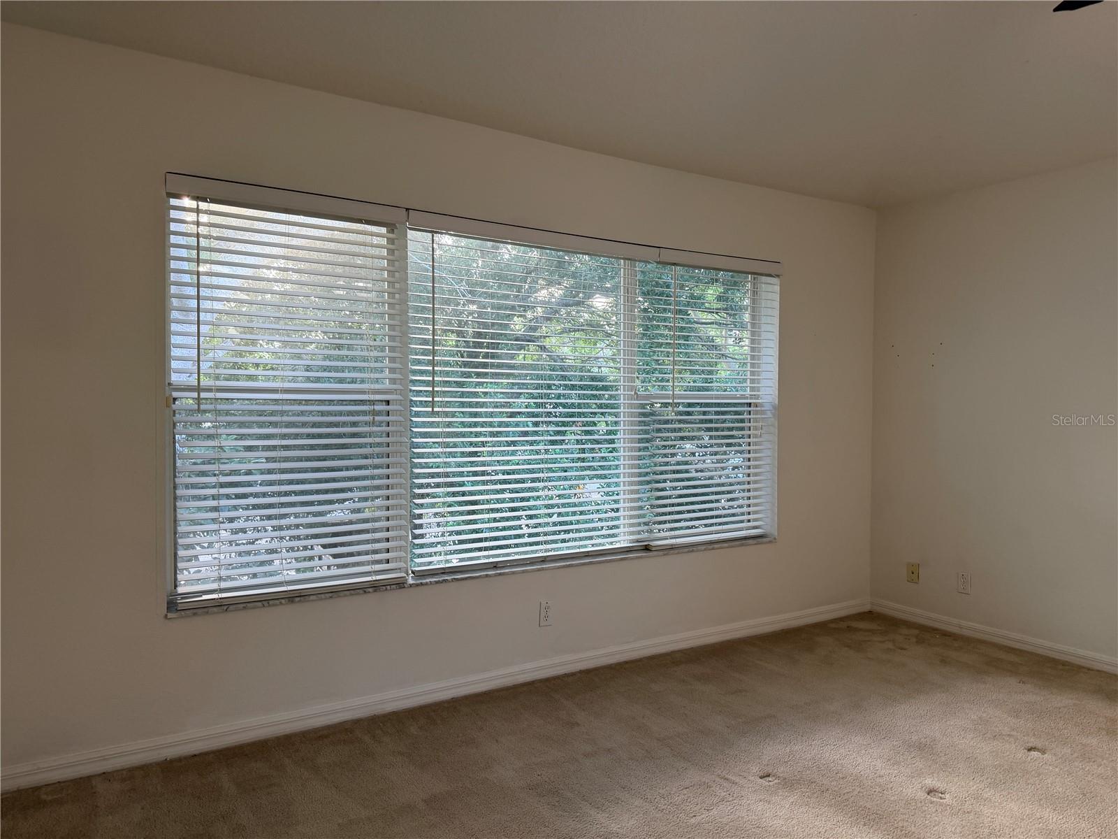 Image 41 of 47 For 4212 Bismarck Palm Drive
