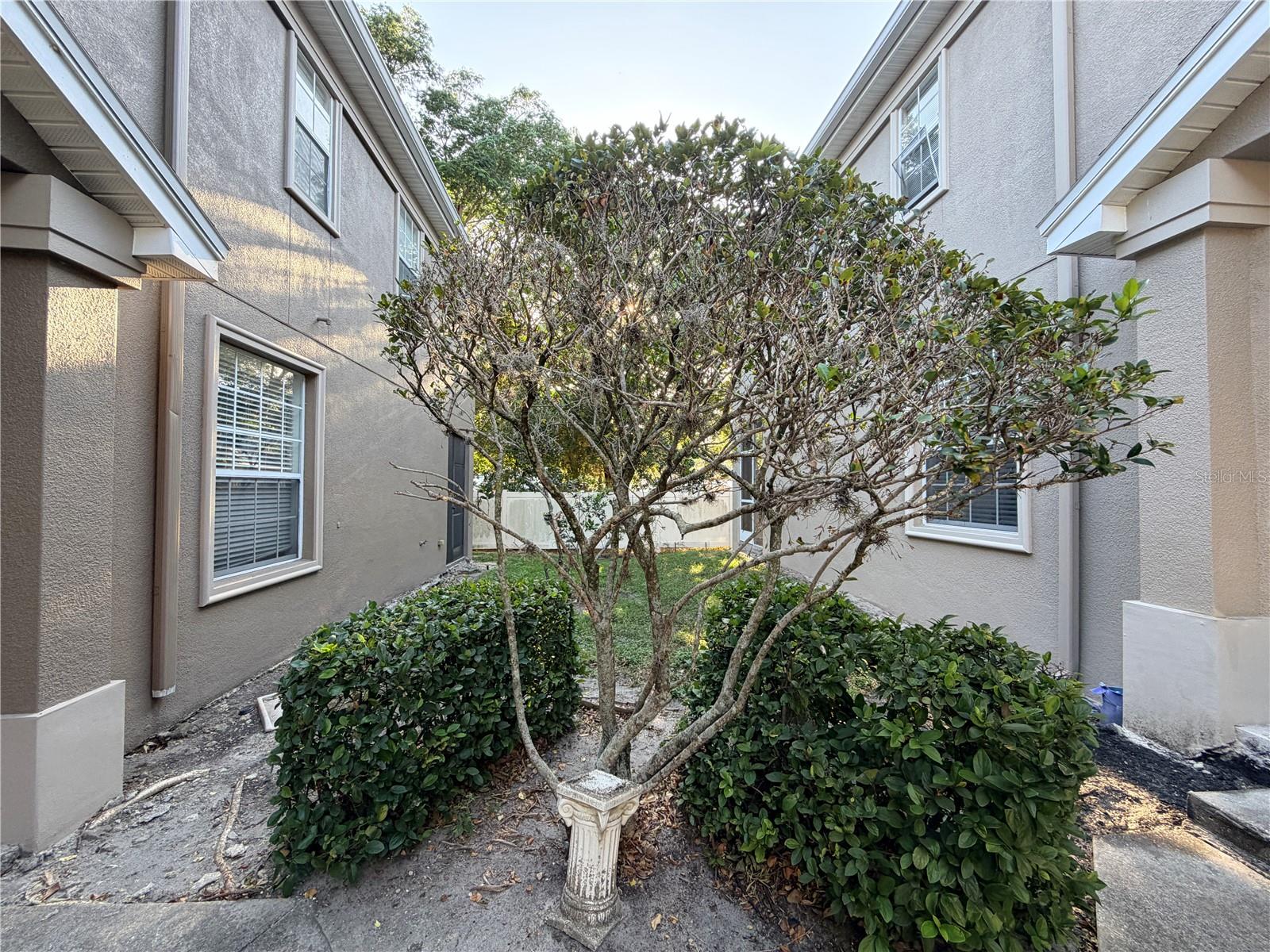 Image 45 of 47 For 4212 Bismarck Palm Drive