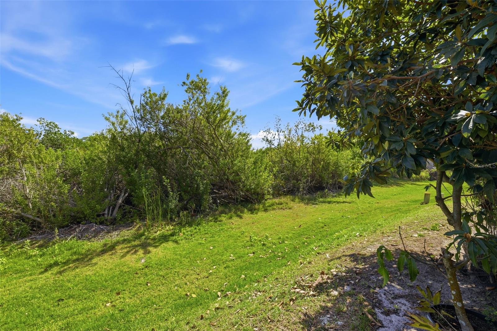 Image 47 of 78 For 615 Saxony Boulevard