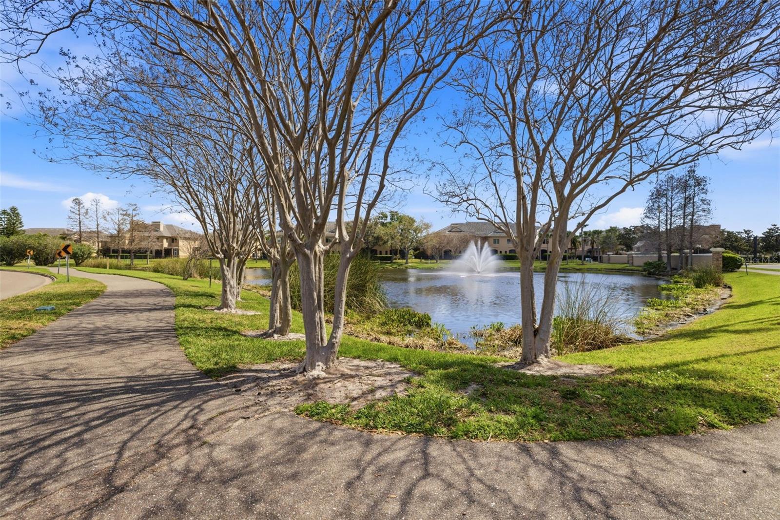 Image 64 of 78 For 615 Saxony Boulevard