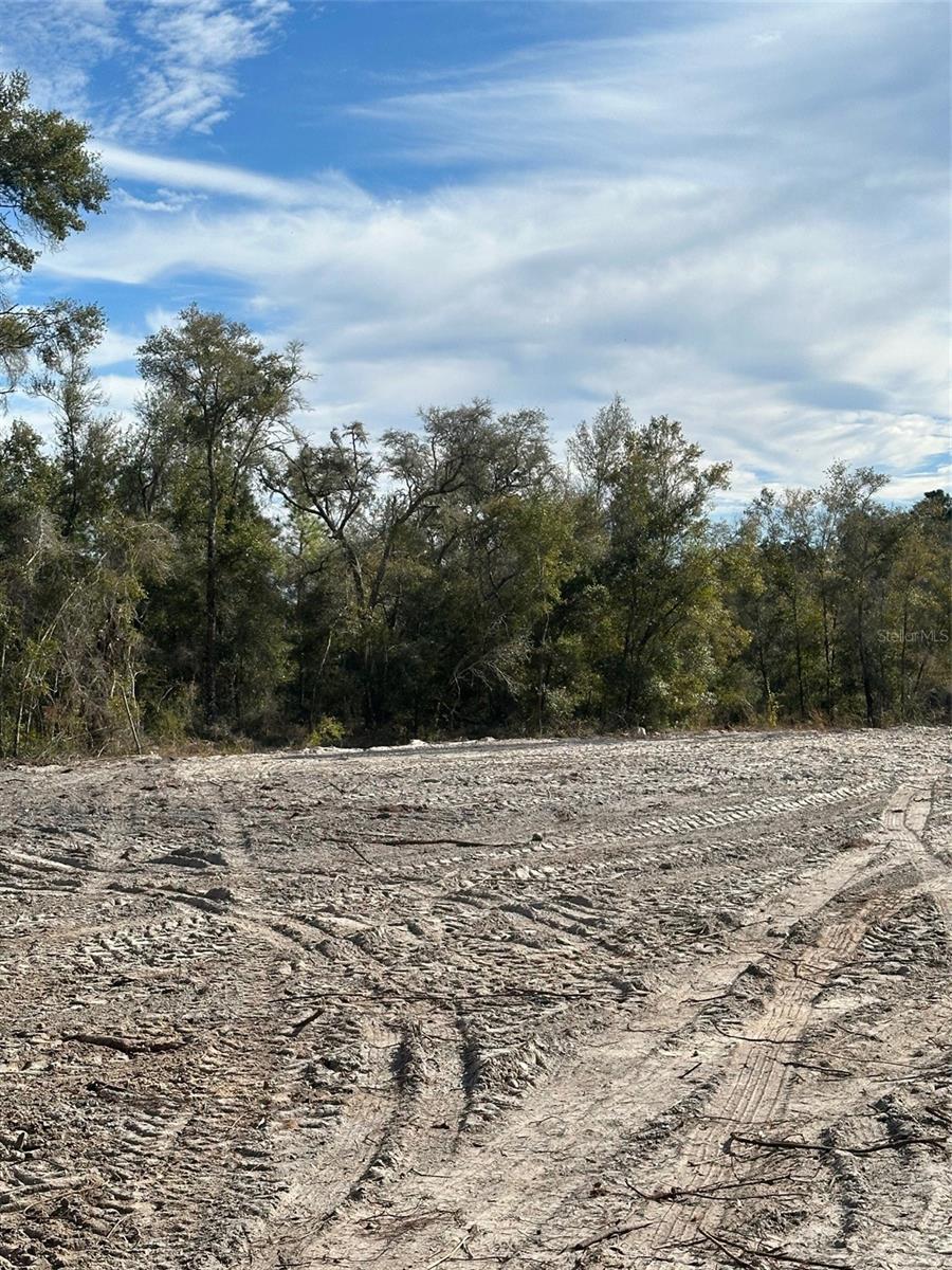 Image 3 of 5 For Berryhill Drive