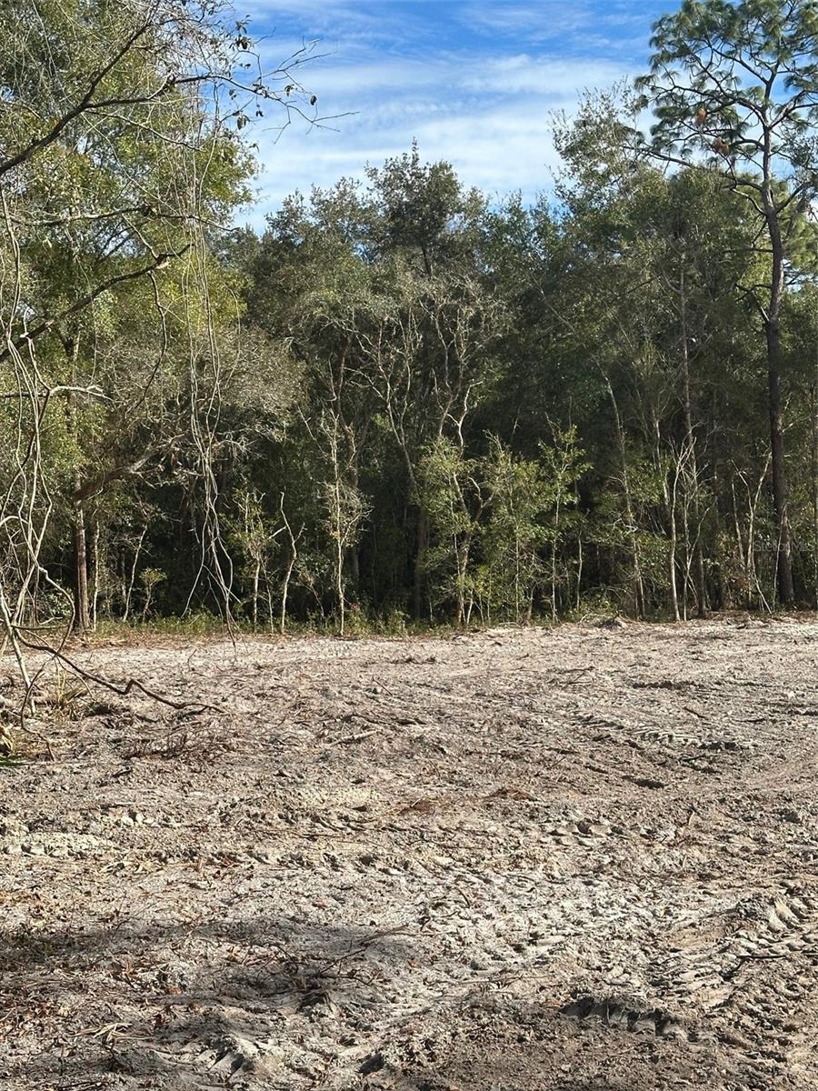 Image 4 of 5 For Berryhill Drive