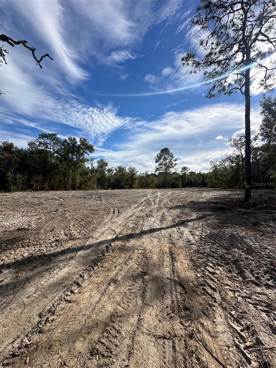 Image 5 of 5 For Berryhill Drive