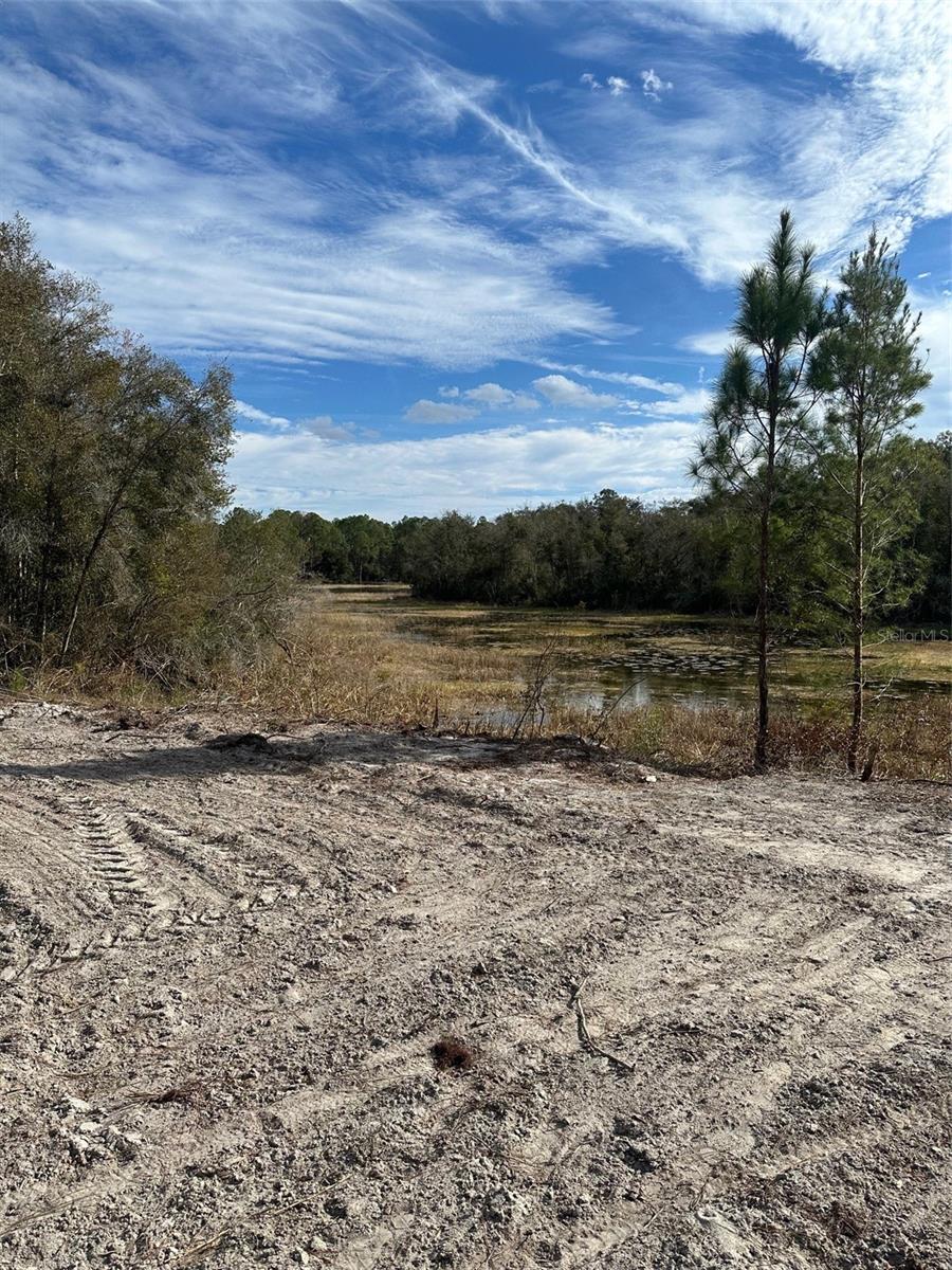 Details for Berryhill Drive, WEBSTER, FL 33597