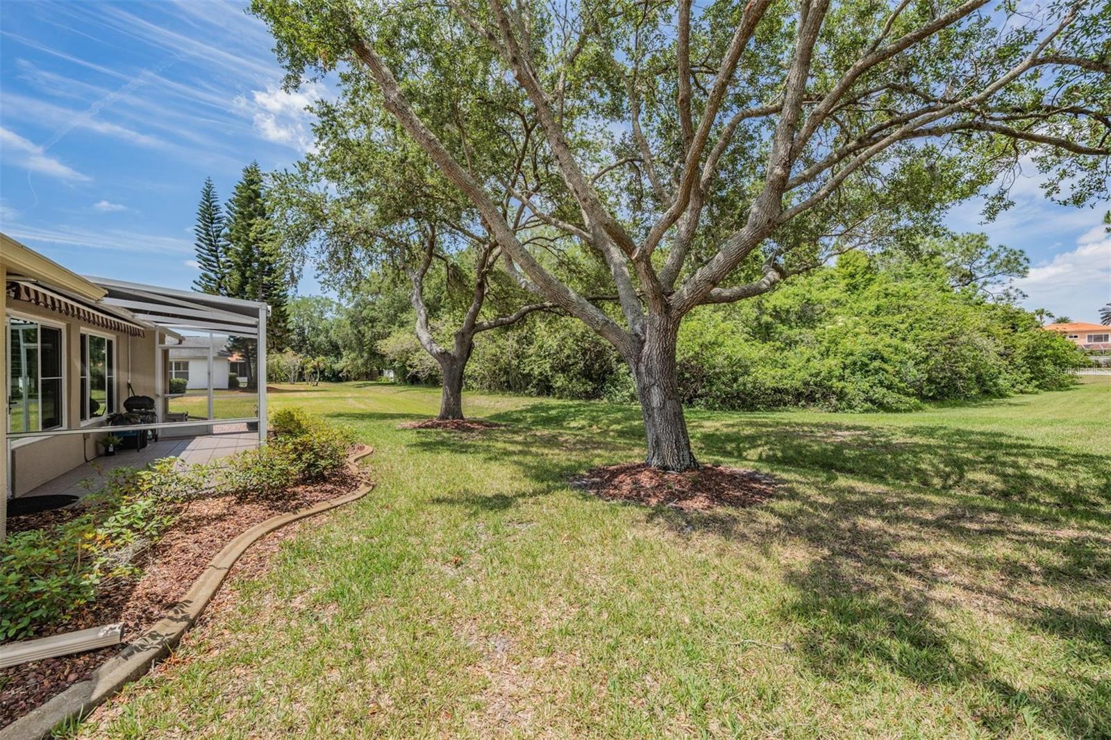 Image 23 of 39 For 1237 Almondwood Drive