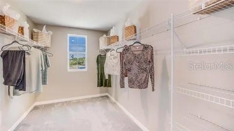 Image 7 of 16 For 16803 Delia Street
