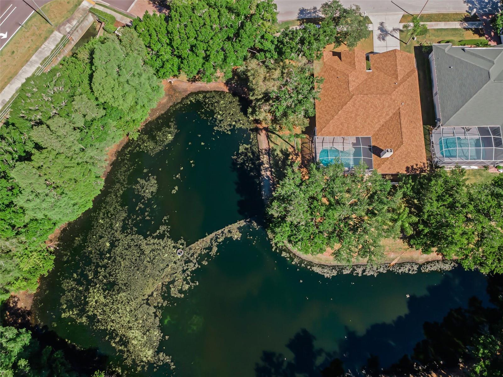 Listing photo id 47 for 1802 Oak Ridge Road