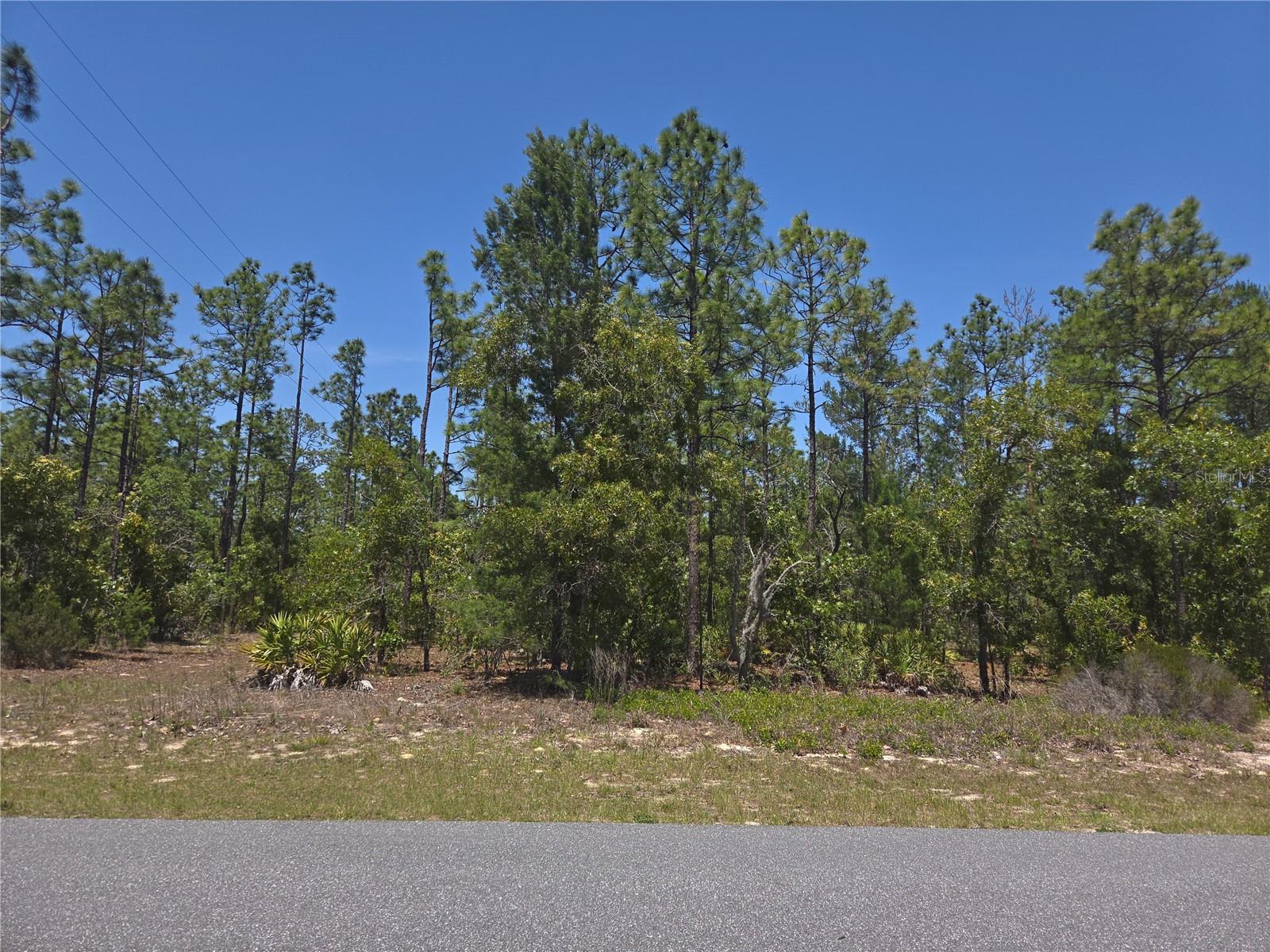 Image 2 of 13 For 4231 Bonanza Drive