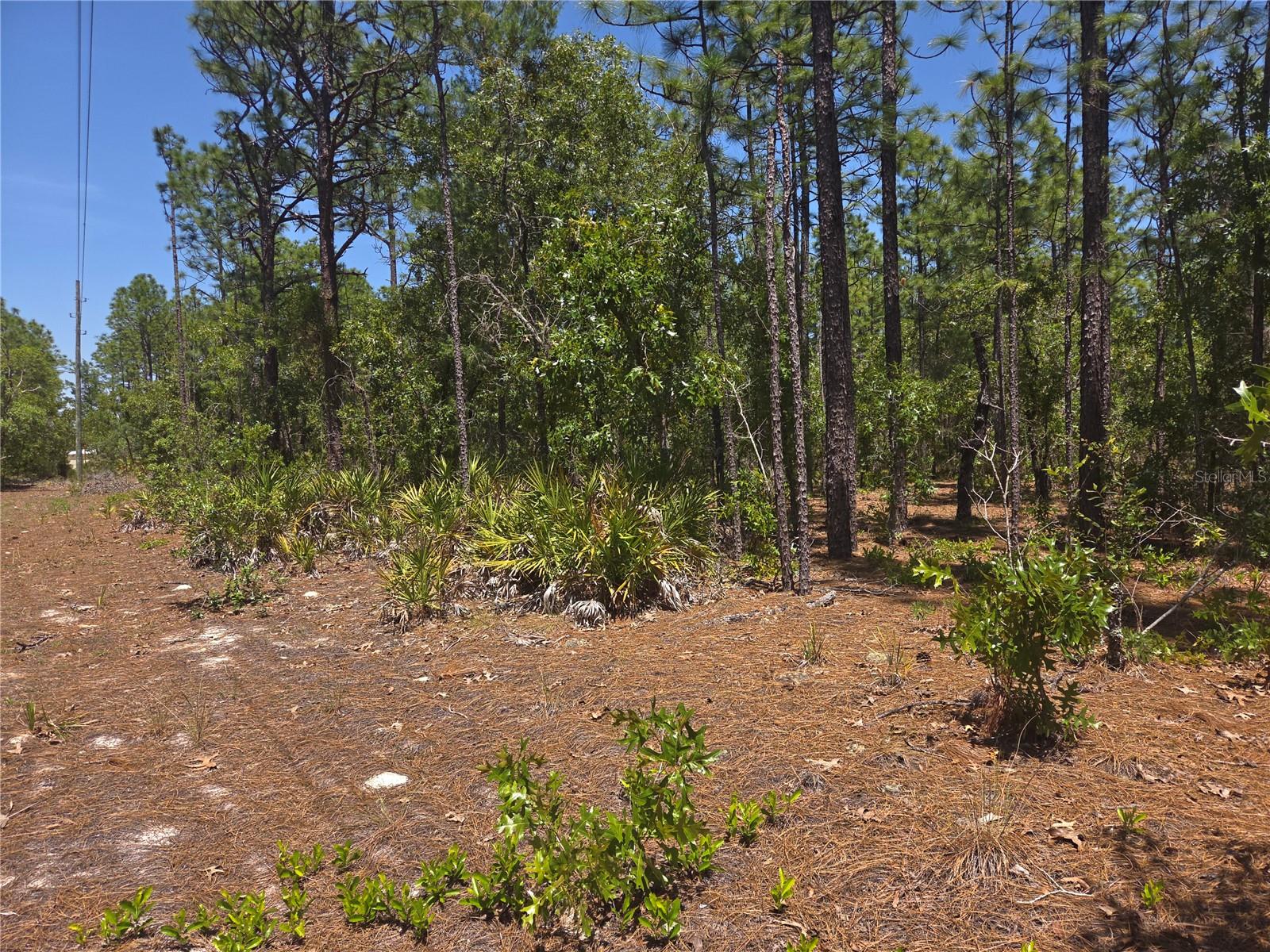 Image 4 of 13 For 4231 Bonanza Drive