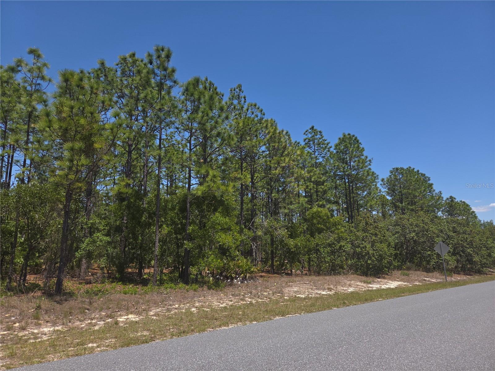 Image 5 of 13 For 4231 Bonanza Drive