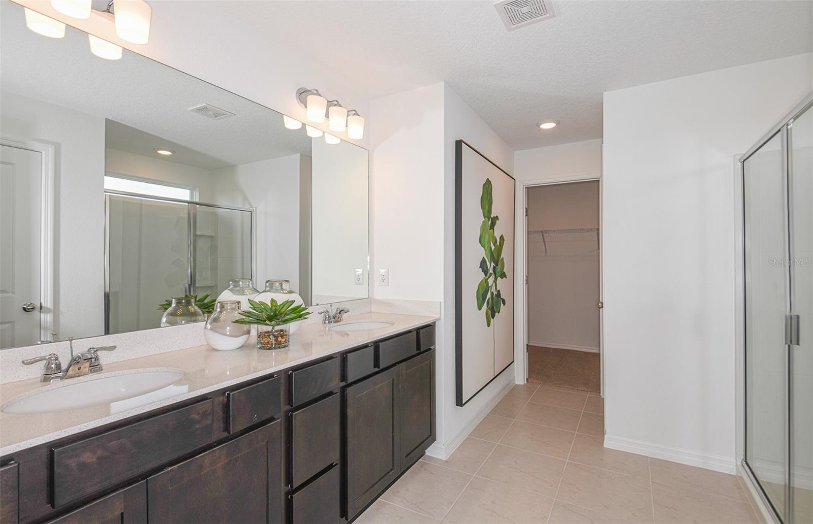 Image 10 of 21 For 9911 Trellis Vine Way