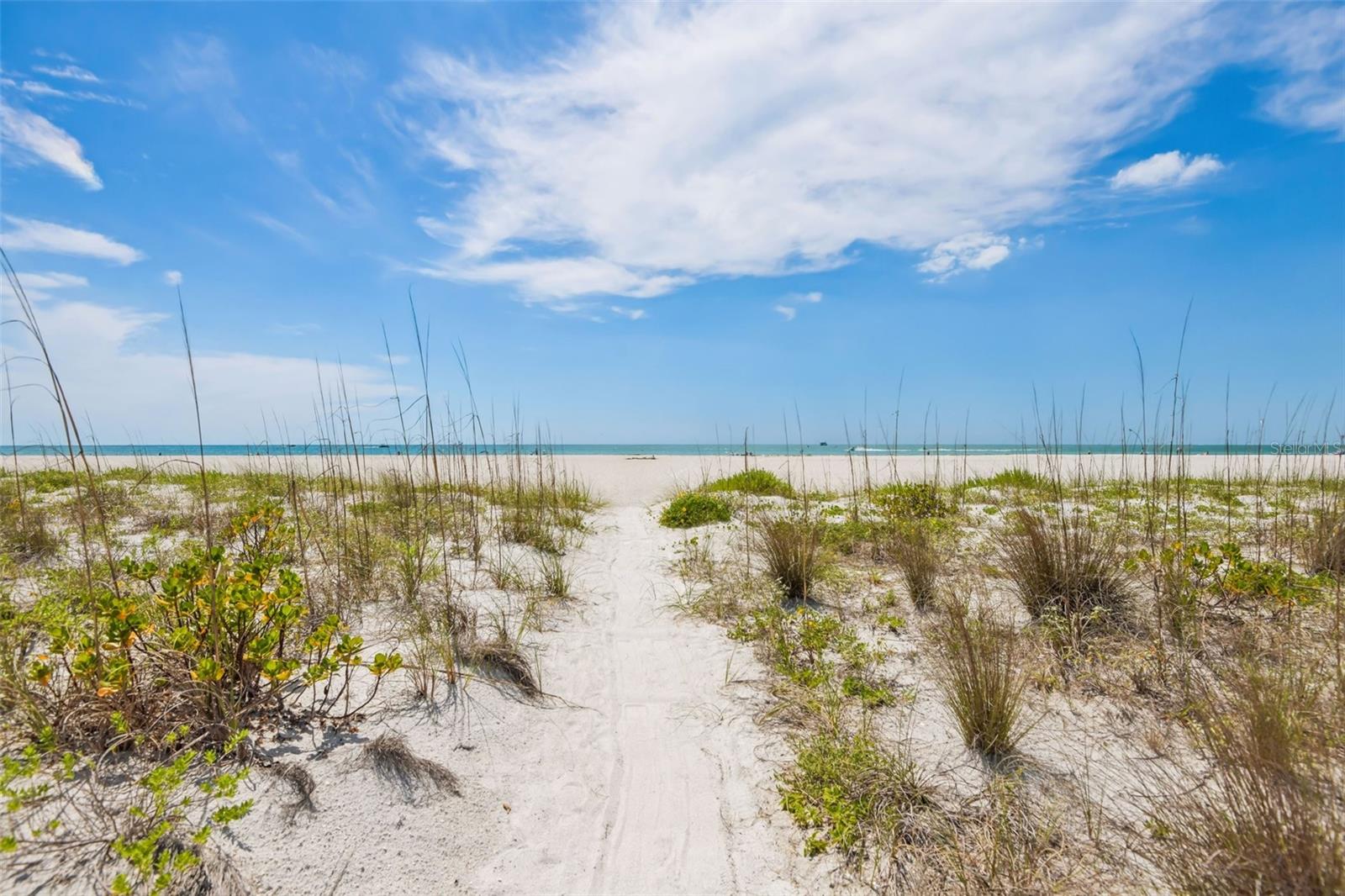 Image 42 of 51 For 1180 Gulf Boulevard 101