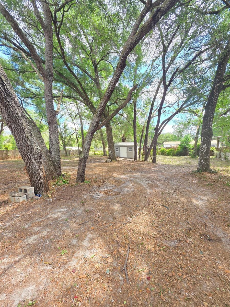 Image 4 of 13 For 34934 Punch Road