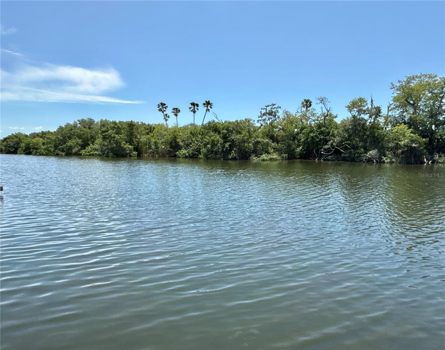 Details for 460 Mount Oak Avenue Ne 745, ST PETERSBURG, FL 33702
