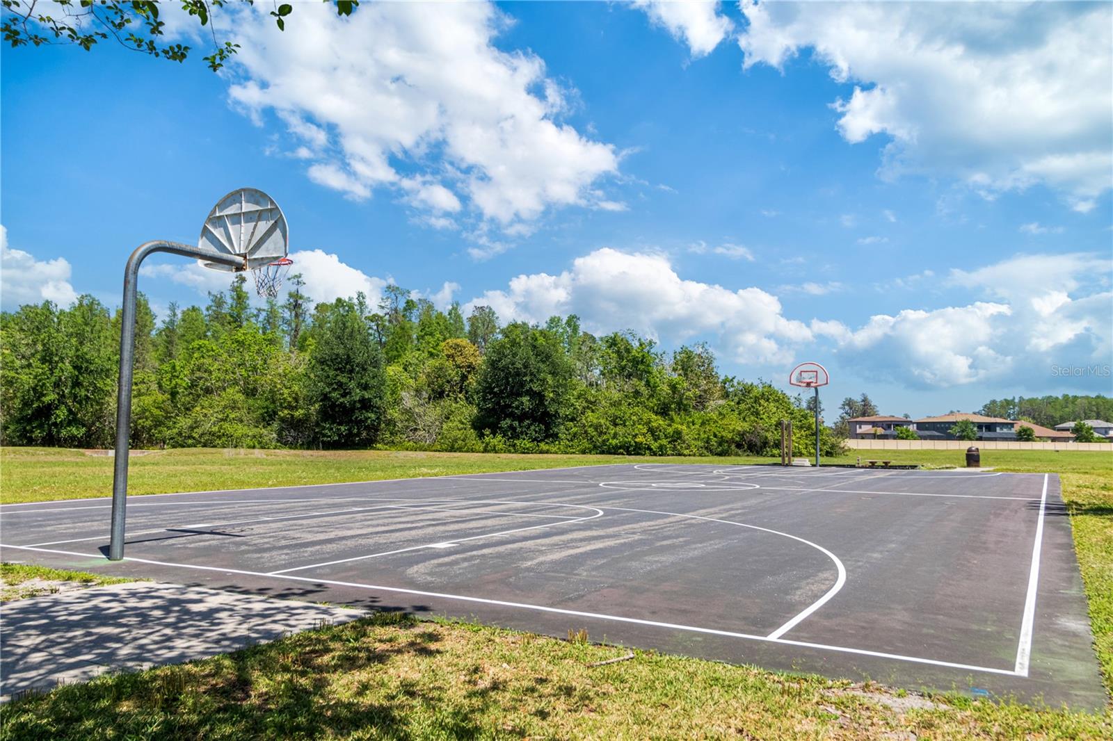 Listing photo id 55 for 2916 Winglewood Circle