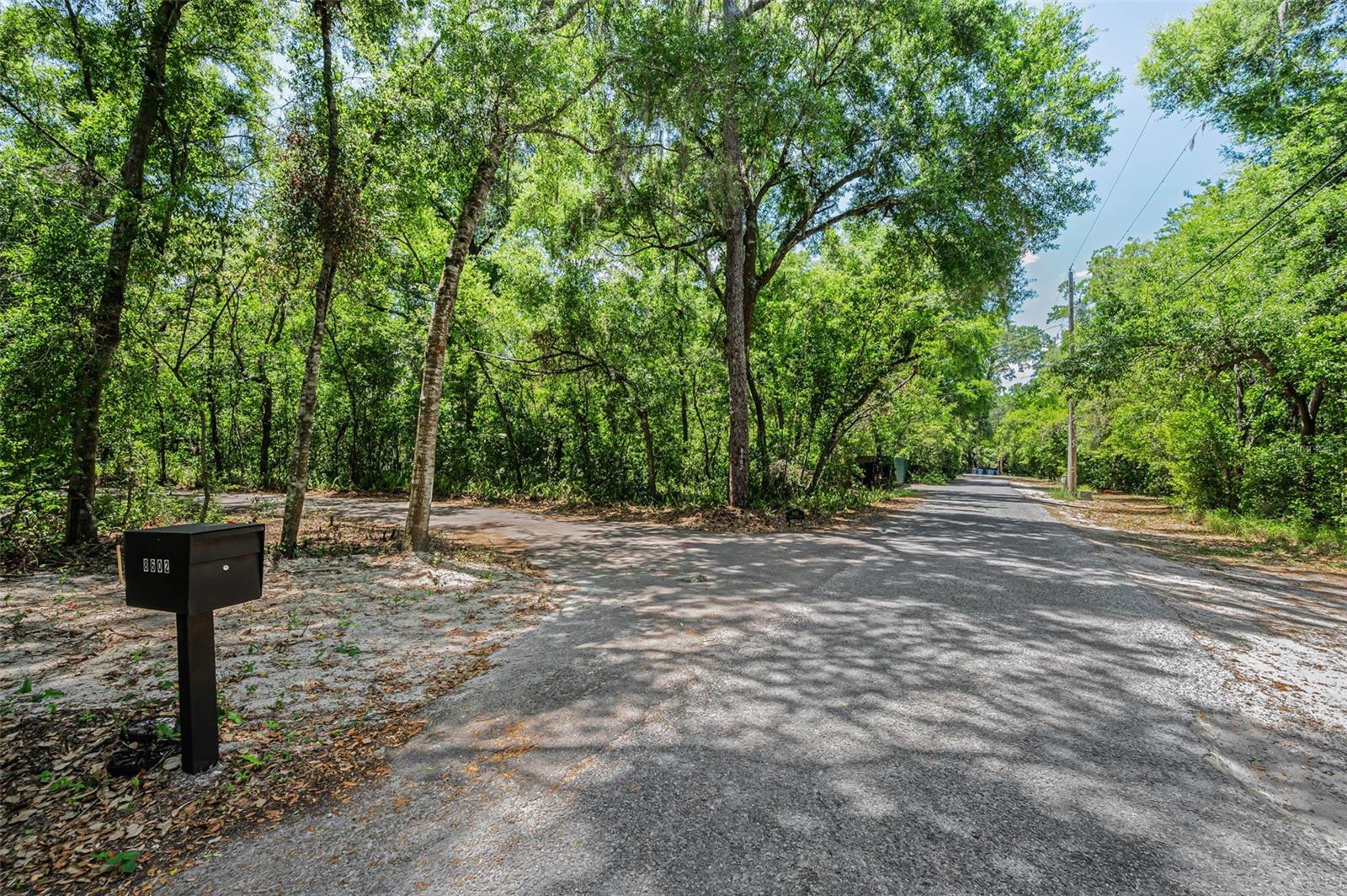 Listing photo id 1 for 8602 Bonnie Cove Lane