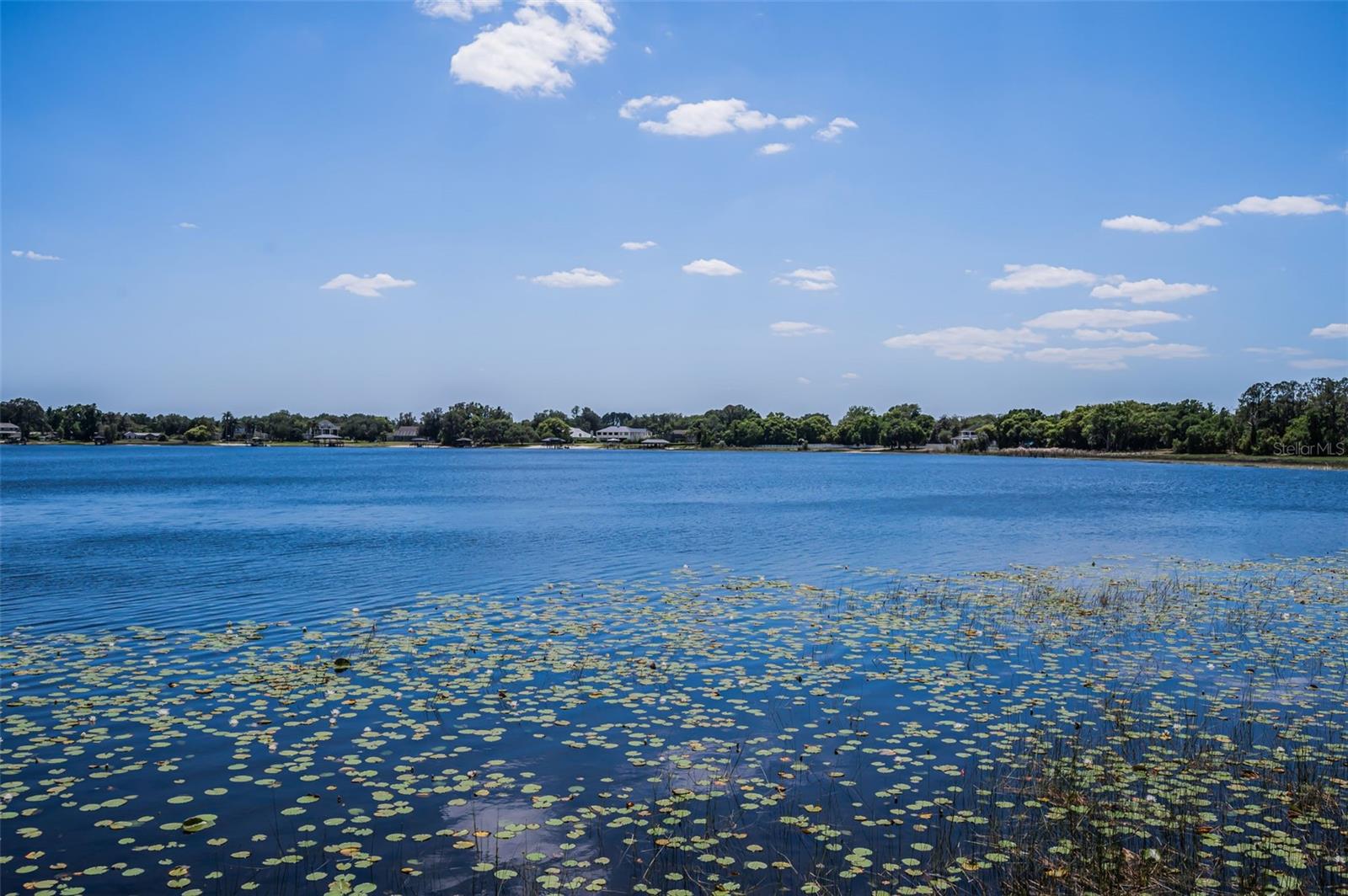 Listing photo id 56 for 8602 Bonnie Cove Lane