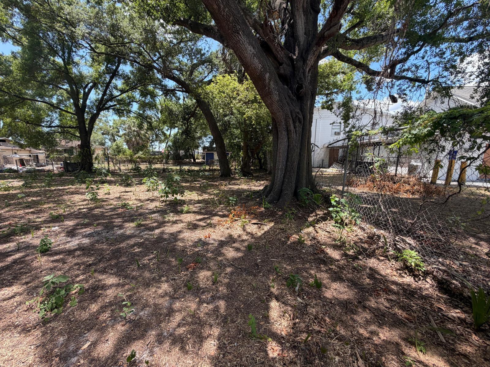 Image 4 of 8 For Address Not Provided