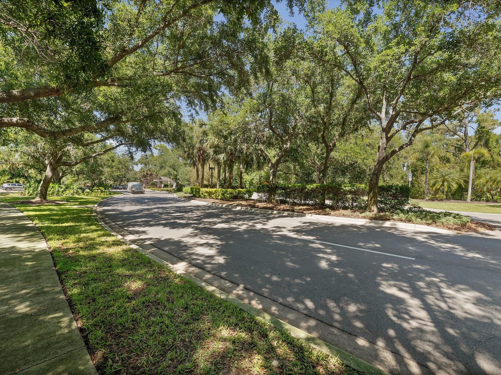 Image 62 of 94 For 740 Rosemary Circle