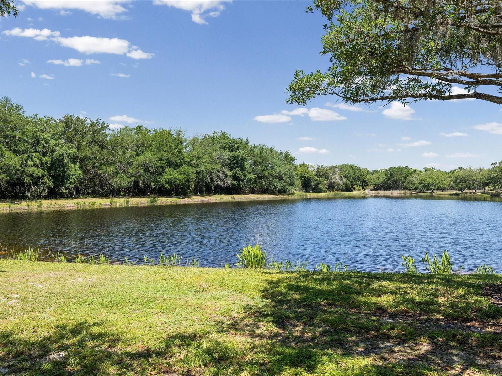 Image 83 of 94 For 740 Rosemary Circle