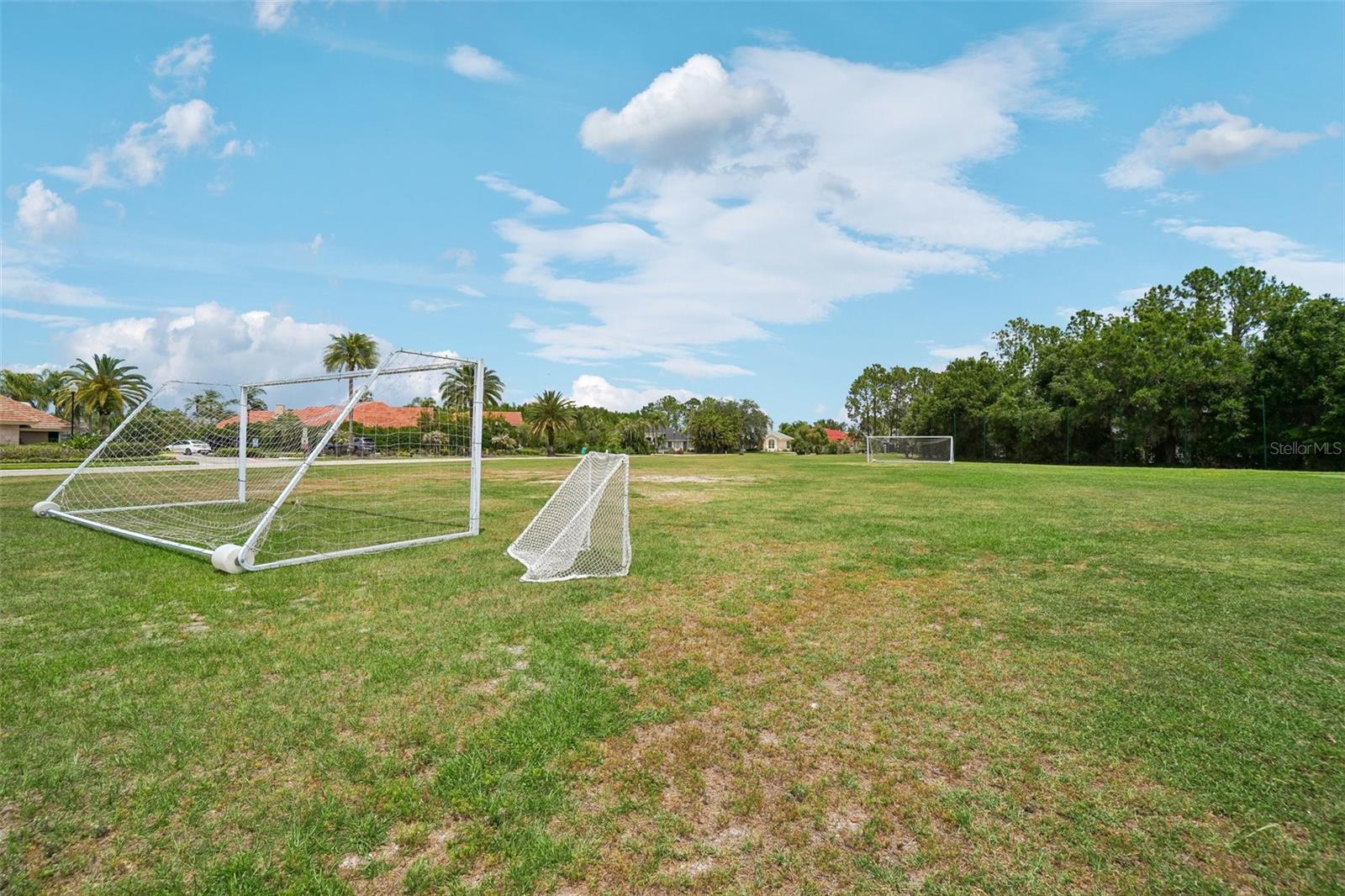 Image 60 of 66 For 18032 Malakai Isle Drive