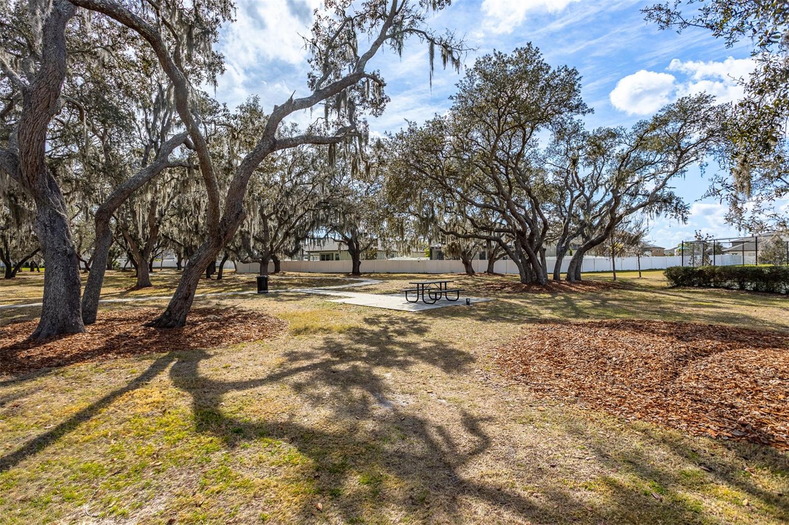 Image 39 of 47 For 12619 Hammock Park Drive
