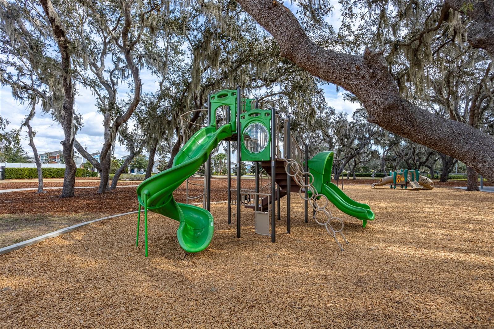 Image 40 of 47 For 12619 Hammock Park Drive