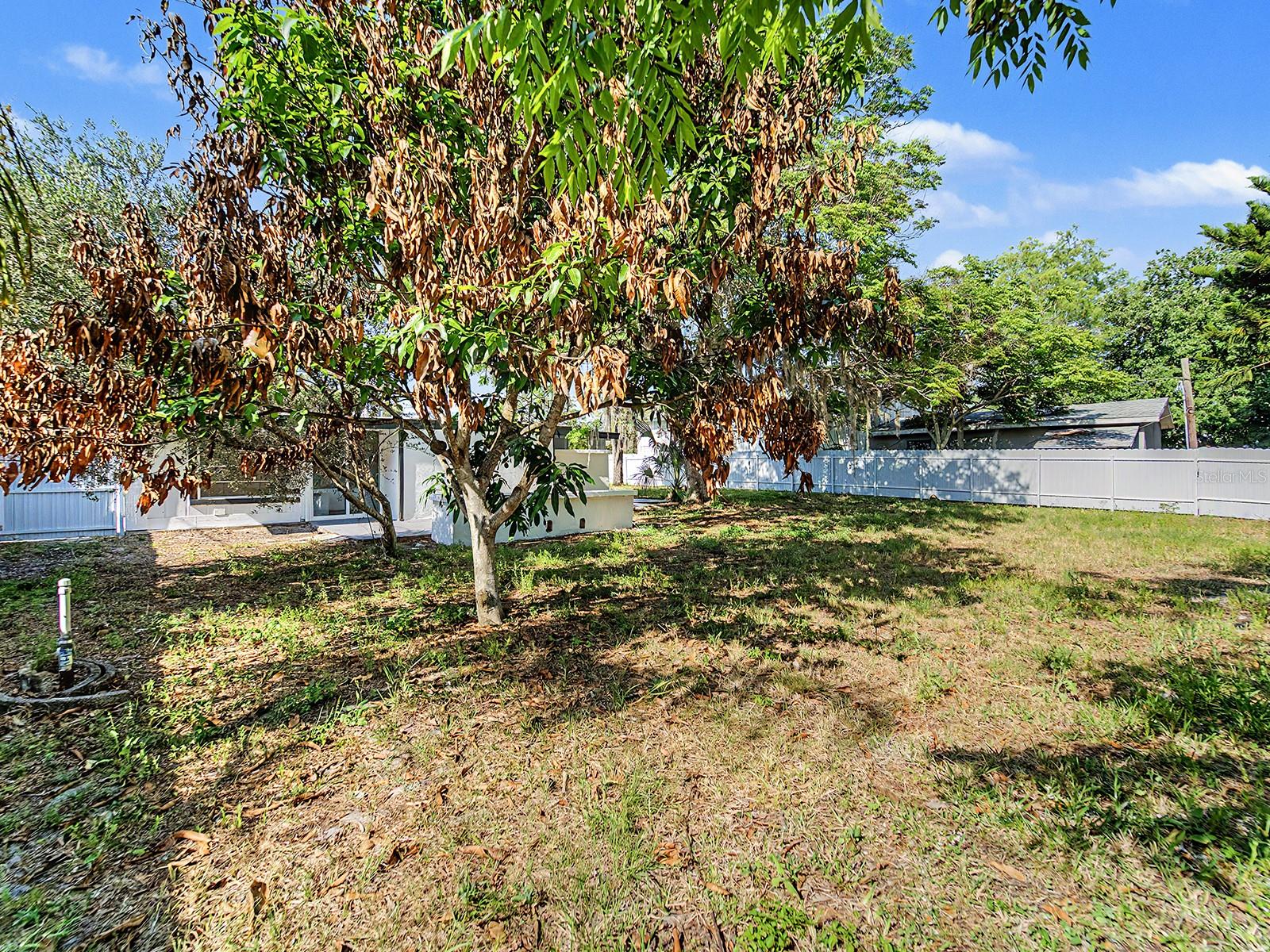 Image 42 of 55 For 7708 Maryland Avenue