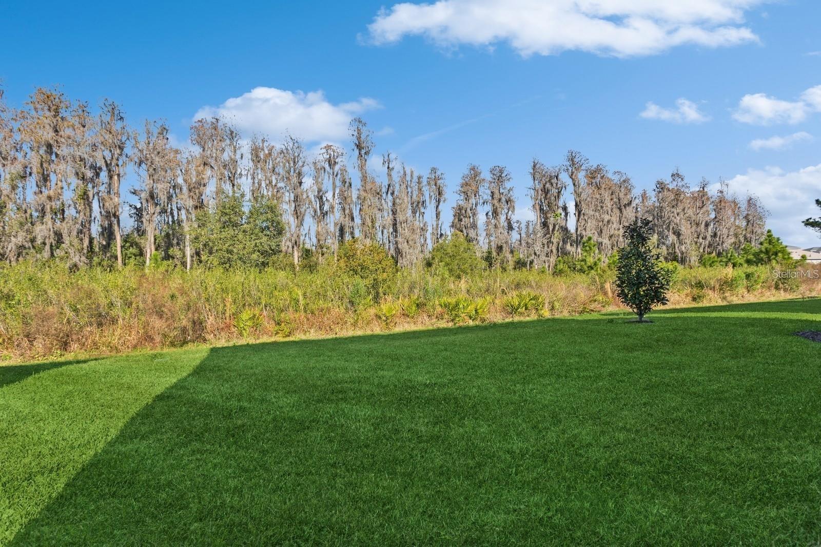 Image 37 of 44 For 3281 Great Banyan Way