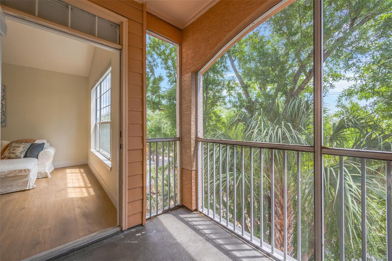 Image 32 of 47 For 5000 Culbreath Key Way 1-306