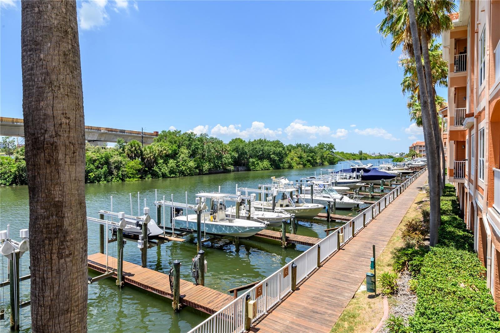 Image 49 of 72 For 5000 Culbreath Key Way 8-302