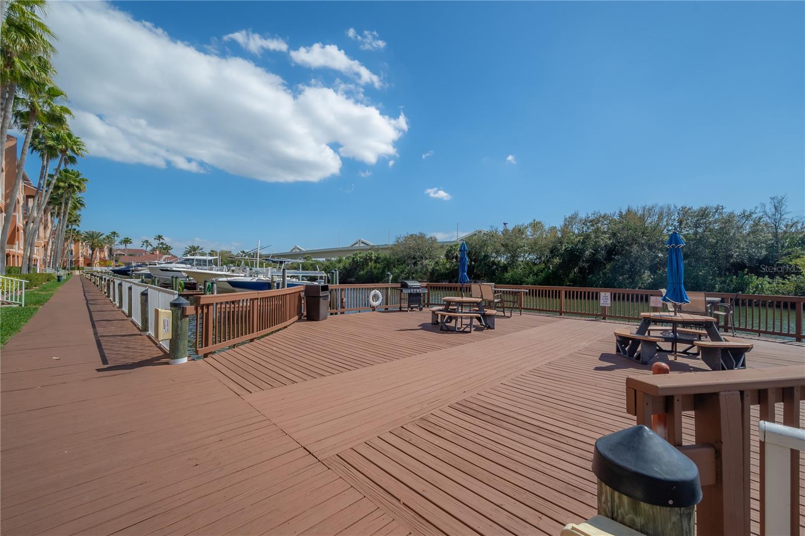 Image 60 of 72 For 5000 Culbreath Key Way 8-302