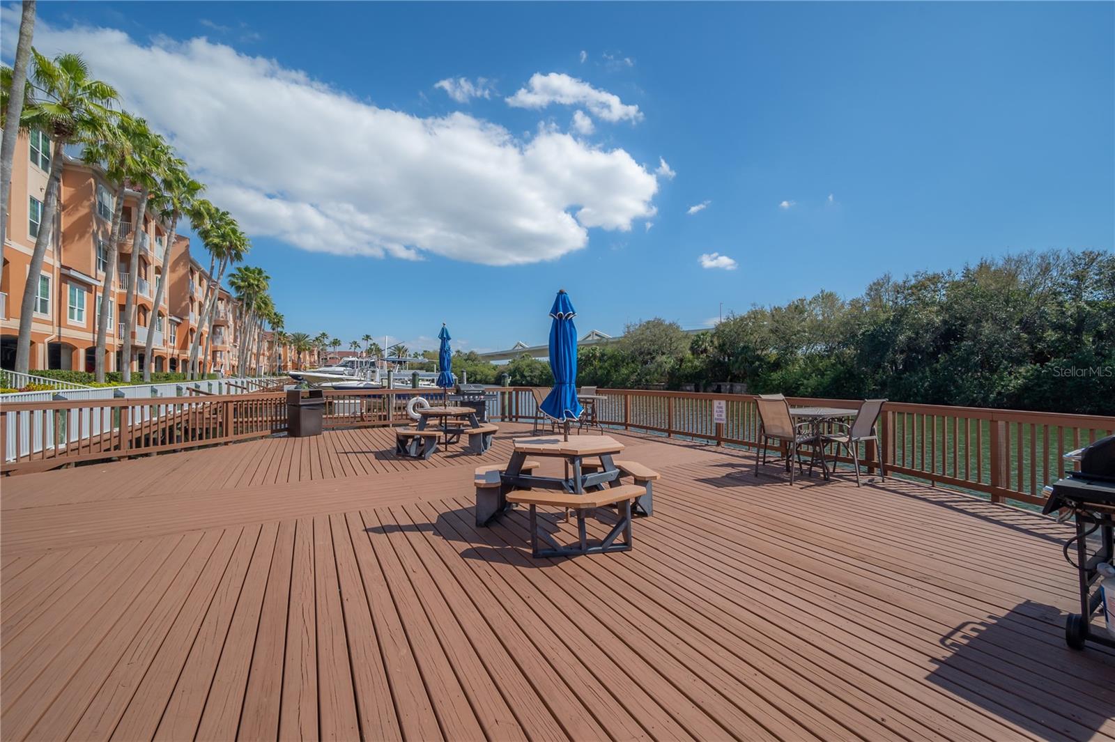 Image 62 of 72 For 5000 Culbreath Key Way 8-302