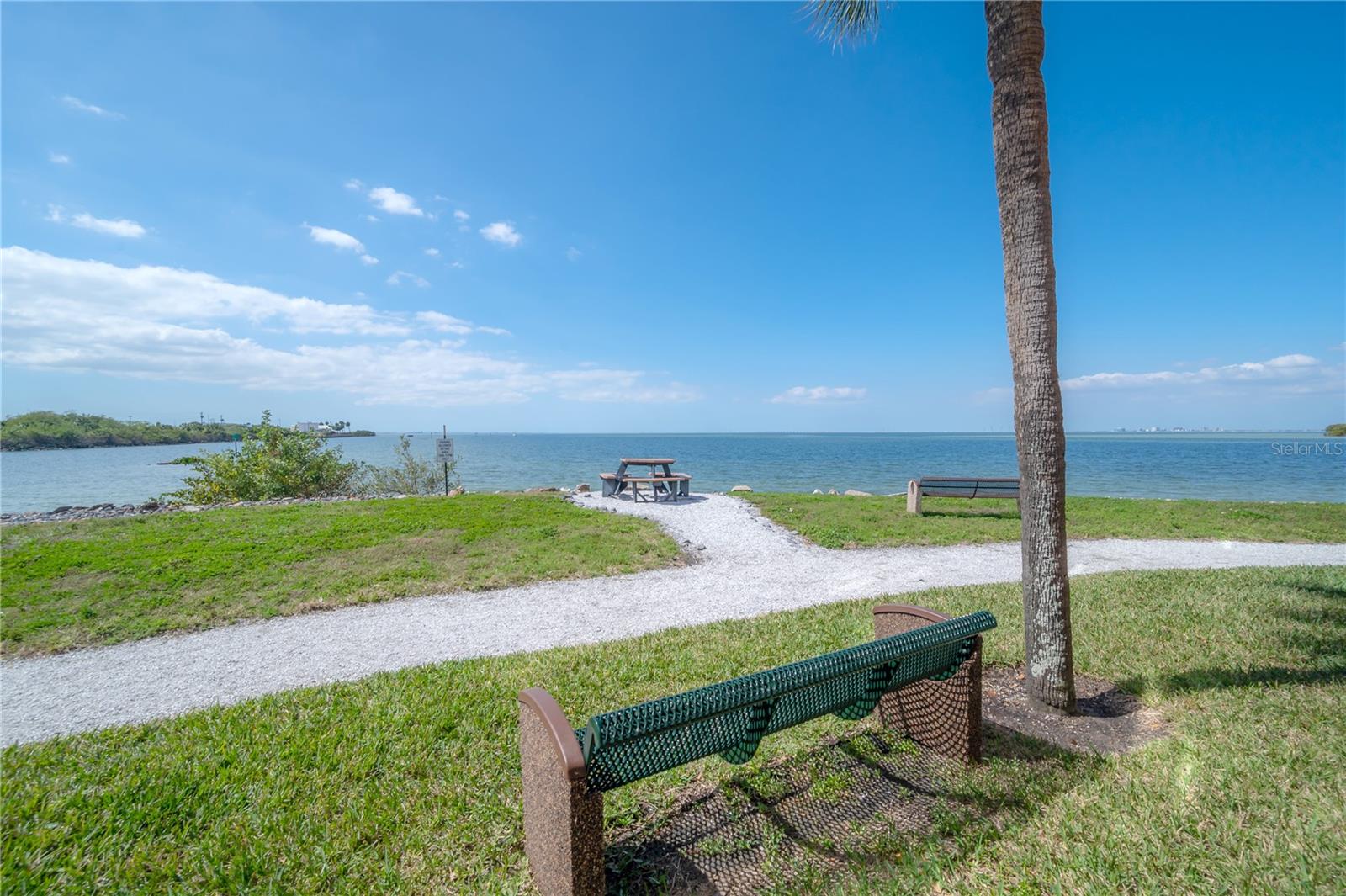 Image 69 of 72 For 5000 Culbreath Key Way 8-302